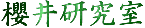 N䌤S